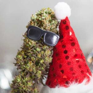 Cannabis Holiday sale Discount