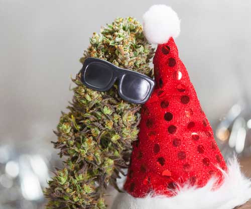 Cannabis Holiday sale Discount